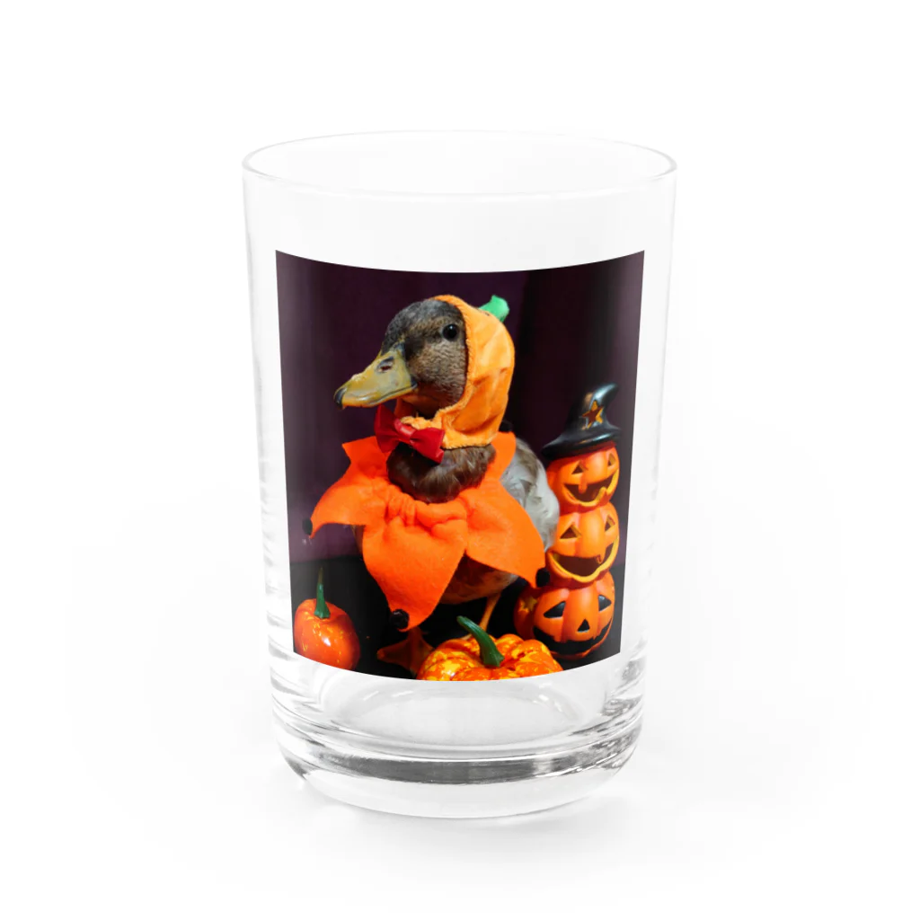 小さいあひる。のハロウィン鈴乃丞 Water Glass :front