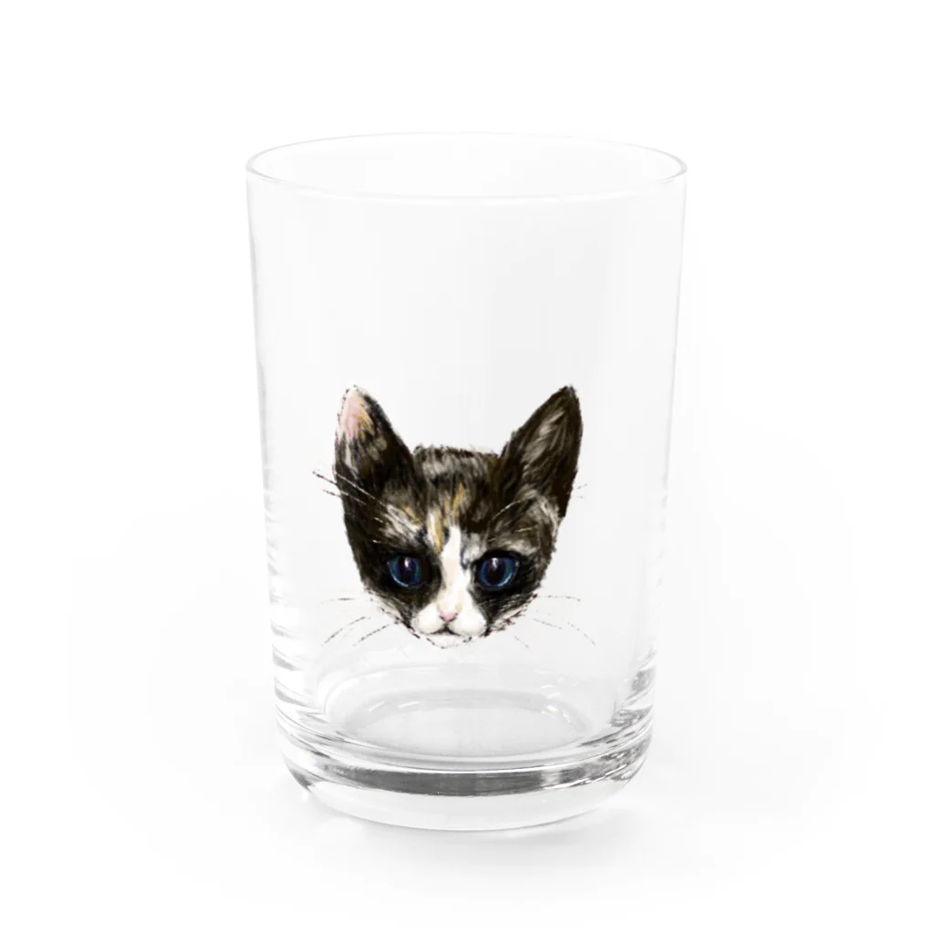 松村有莉の店の三毛猫の幸子(サチコ) グラス前面