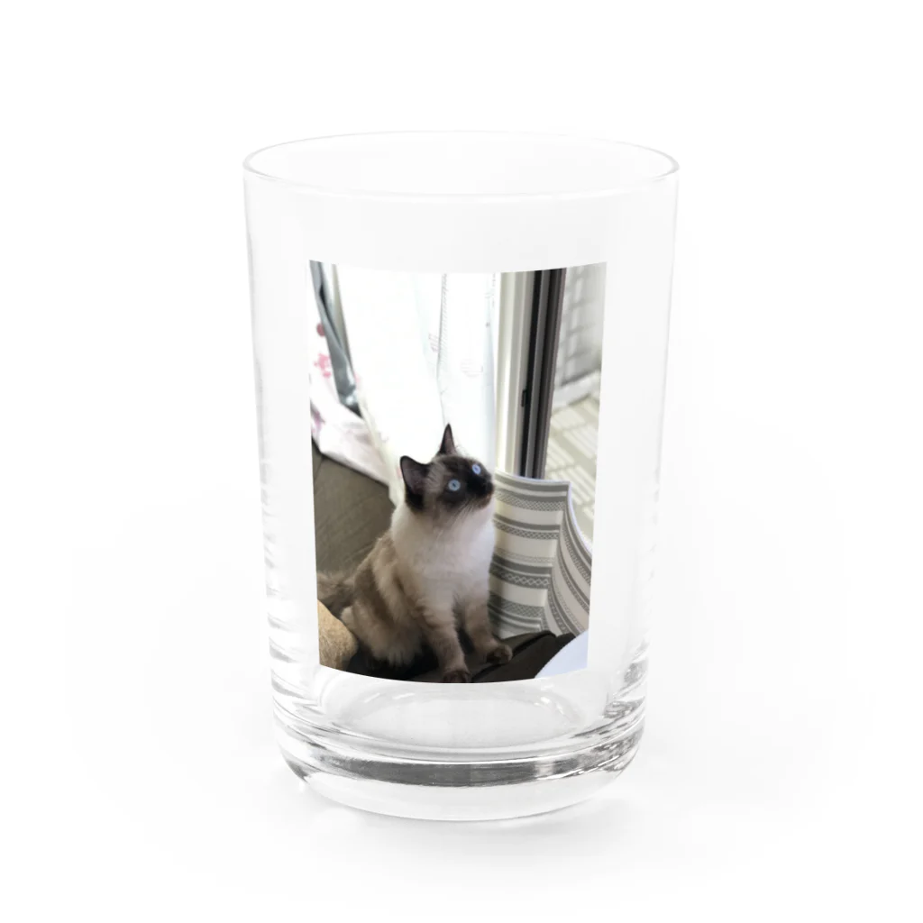 ゆるゆるやさんのかるちゃんグラス Water Glass :front