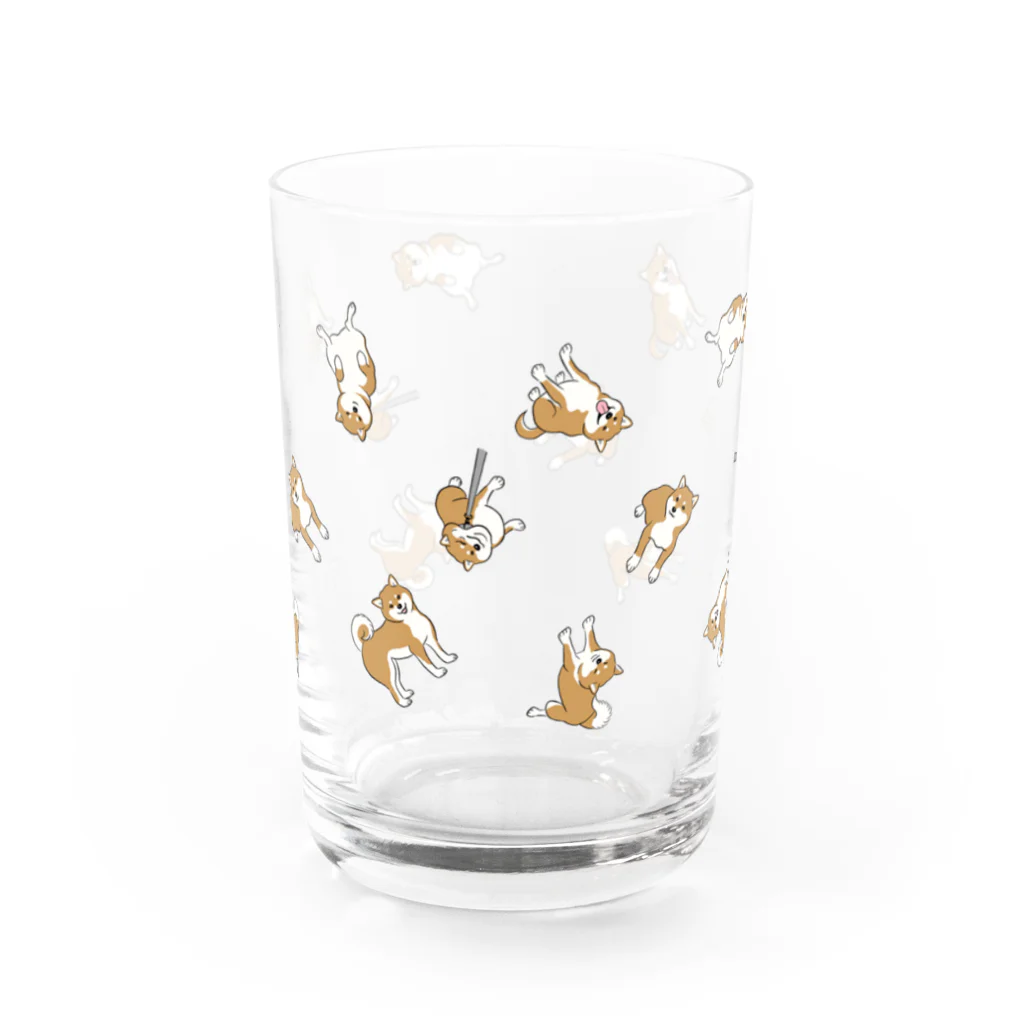 chippokeの柴犬いっぱい Water Glass :front