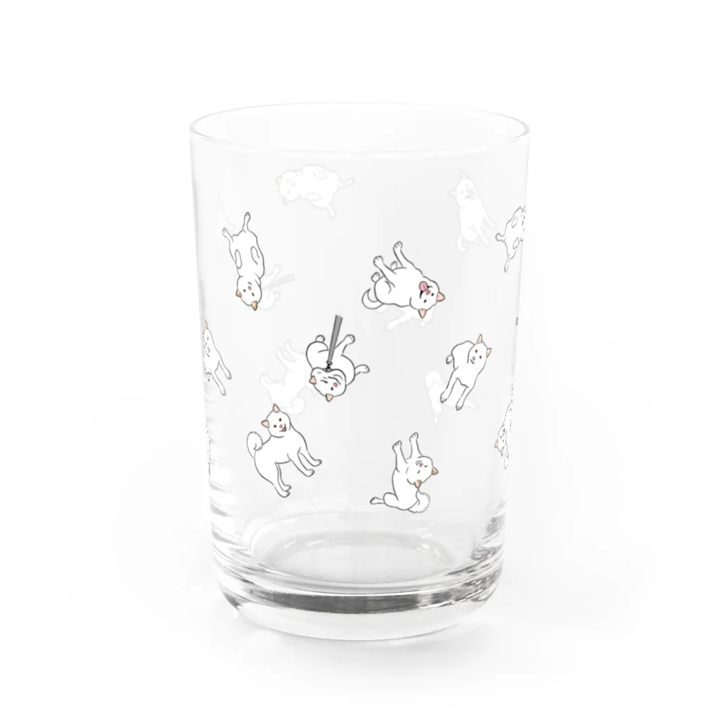 chippokeの白柴いっぱい Water Glass :front