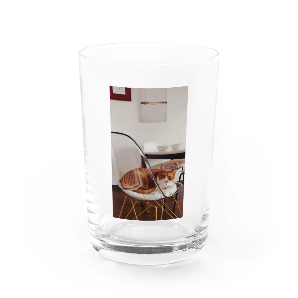 フカツ マリエの猫と家 Water Glass :front