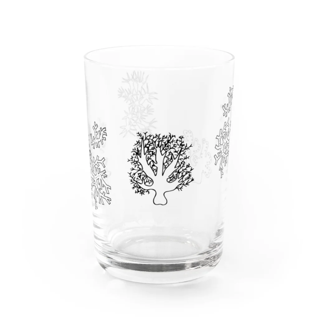 madobeno omiseのNew Sea Water Glass :front