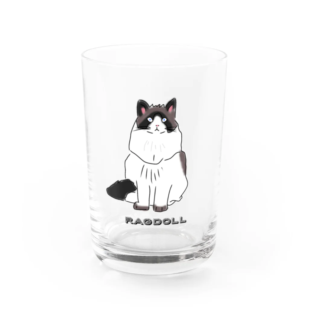 小鳥と映画館のラグドール ゴージャスな猫 Water Glass :front