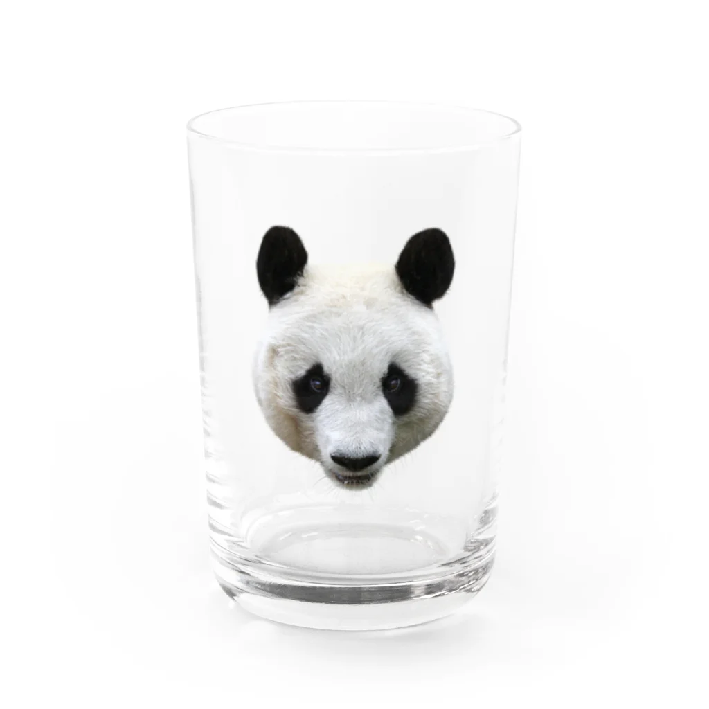 どうぶつ屋のPanda! Water Glass :front