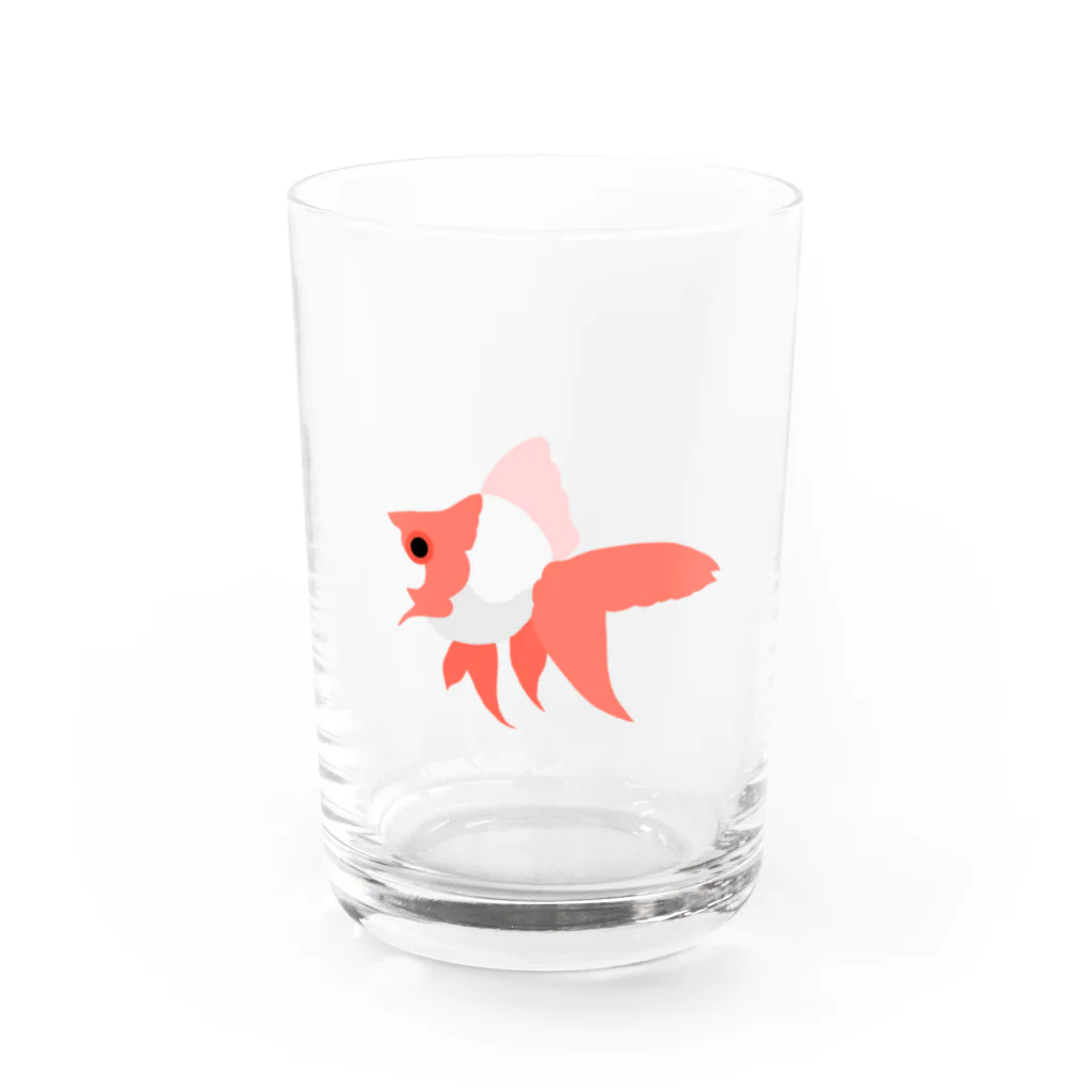 みうらやのりゅーきんちゃん Water Glass :front