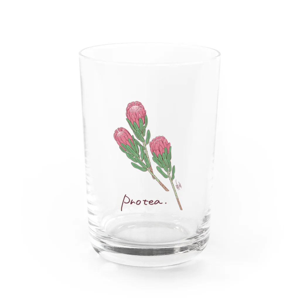 しおみ なおこ｜イラストレーターのFLOWER〈Protea〉 Water Glass :front