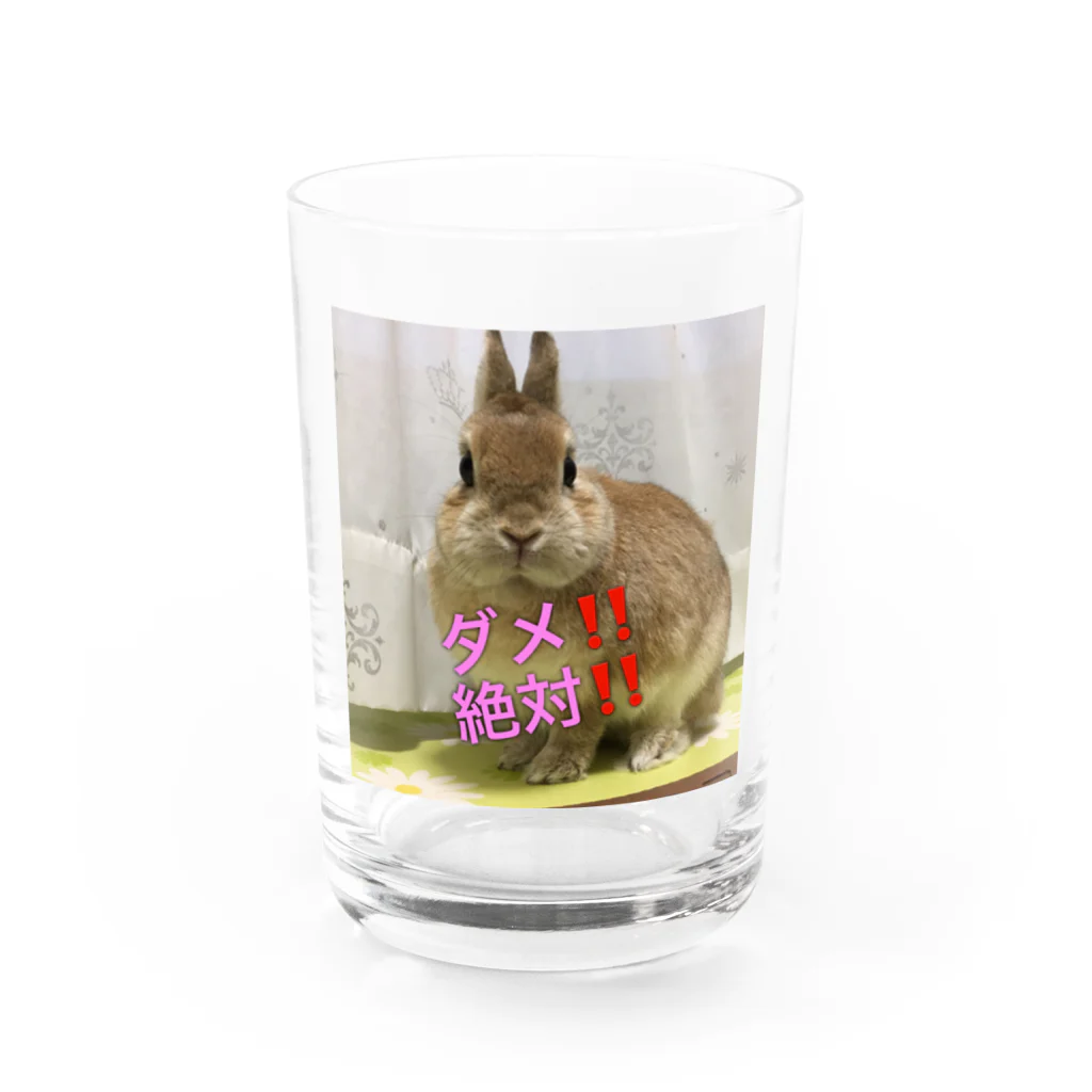 うさぎ３姉妹のきな子の戒めグラス Water Glass :front