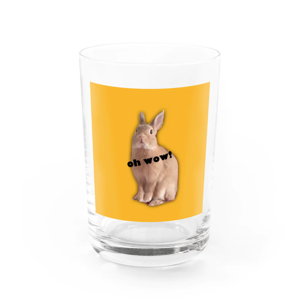 RAVI the rabbitのRAVI the rabbit Water Glass :front