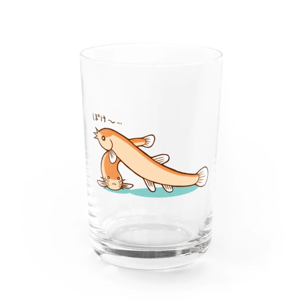 どぜうショップのまったりヒドジョウ Water Glass :front