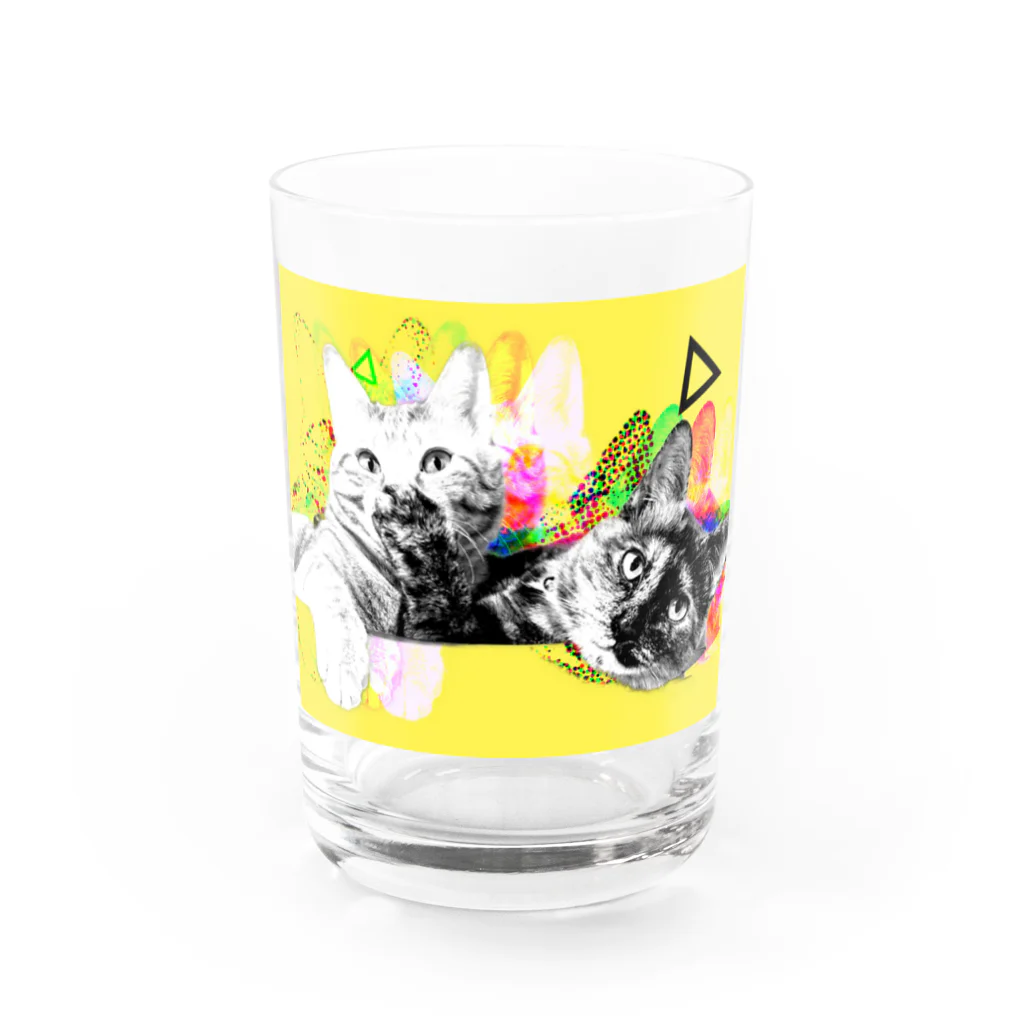 rora-noraのねこたちは見た。 Water Glass :front