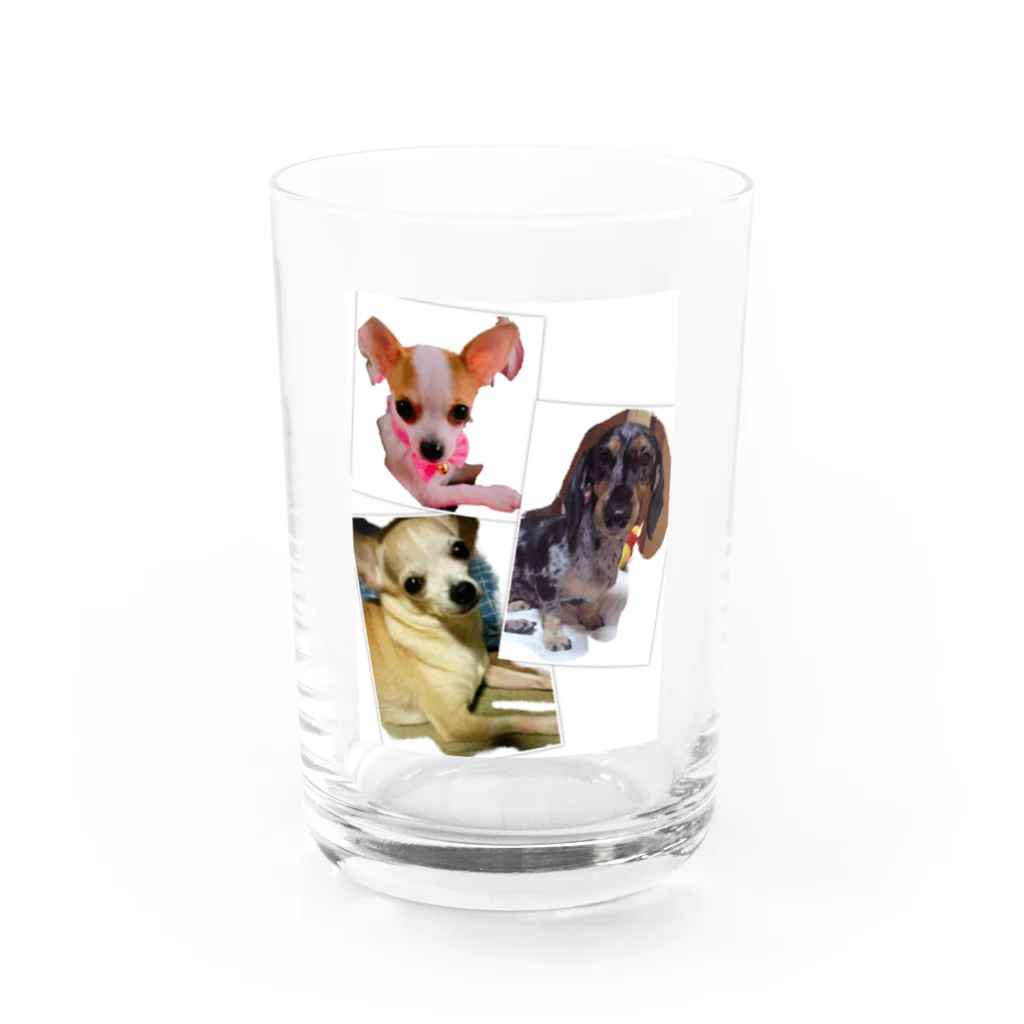 マンマチャオ　大東ショッピングプラザピア店の可愛い愛犬 Water Glass :front