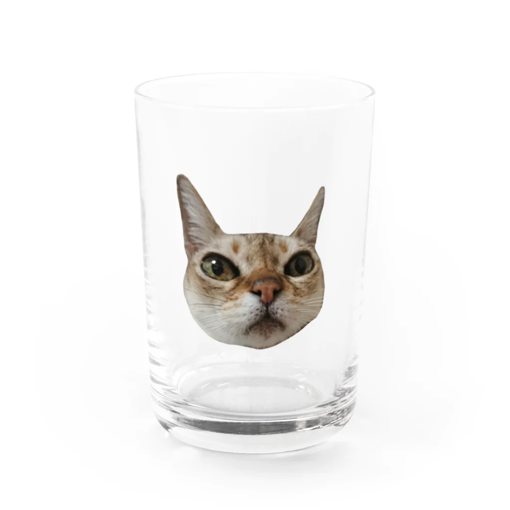 玉林茂二美のおこじょ顔 Water Glass :front