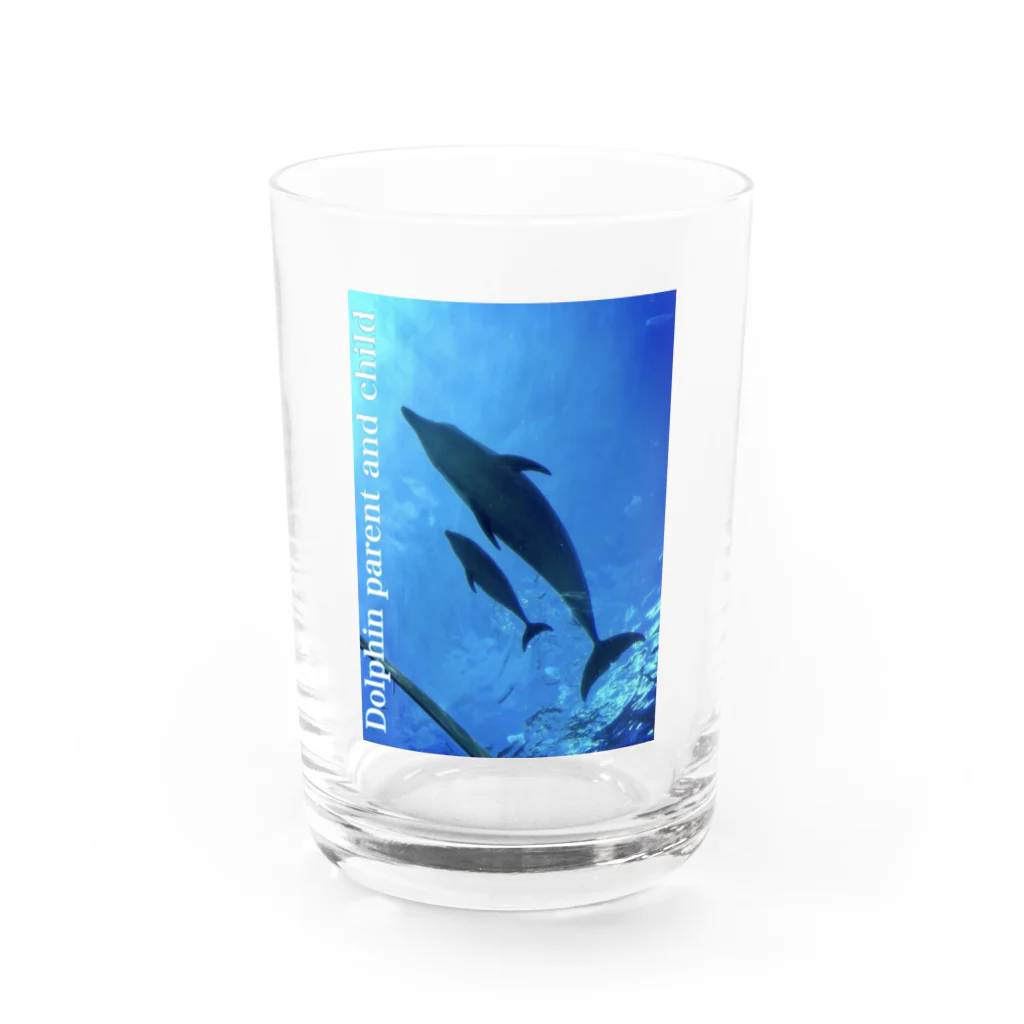 asirのイルカの親子 Water Glass :front