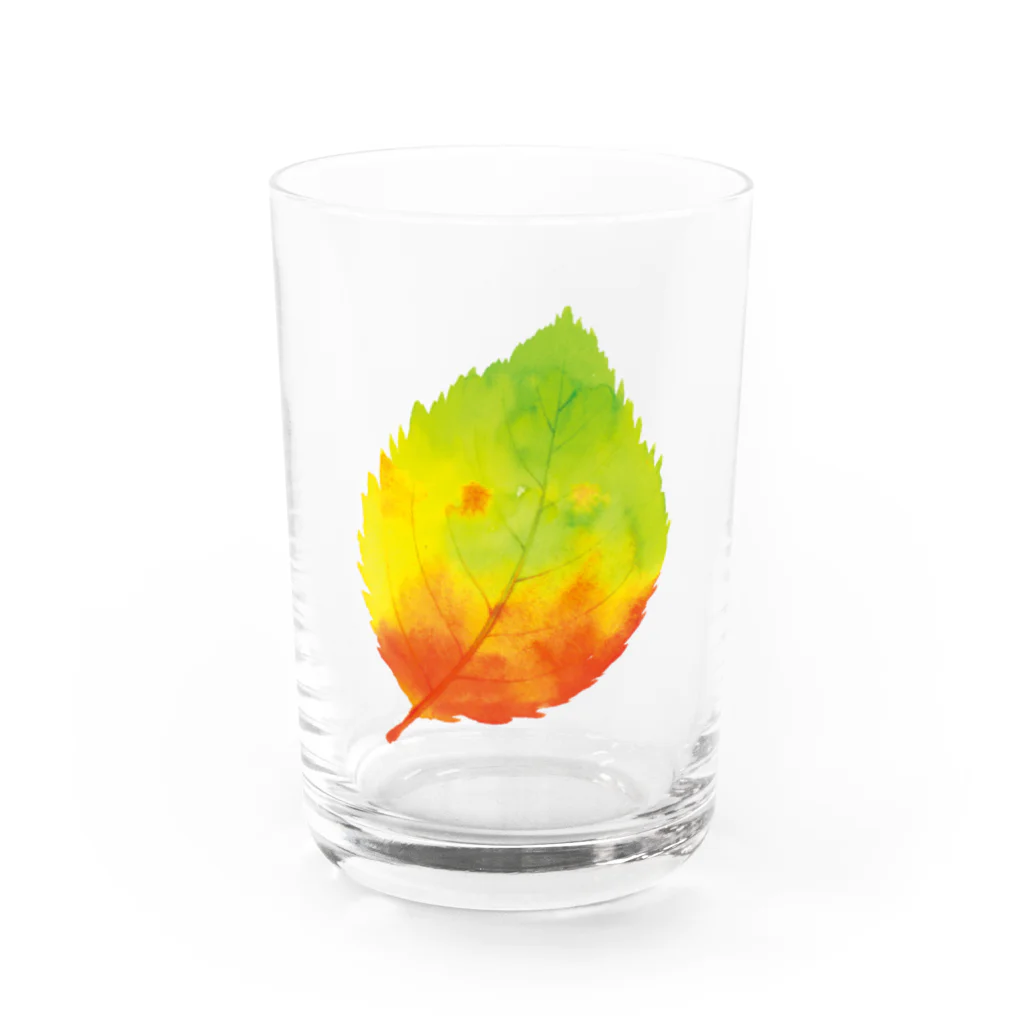 翠々の紅葉 Water Glass :front