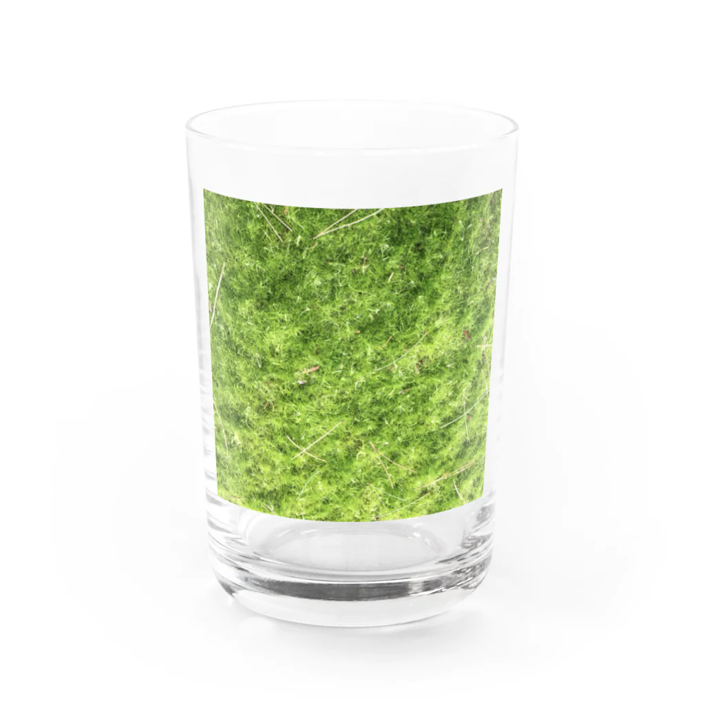 だっくの癒し苔🌿 グラス前面