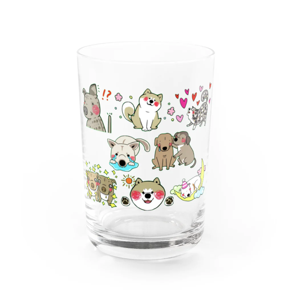 保護犬達の楽園オリジナルグッズの保護犬達の楽園メンバー集合2 Water Glass :front