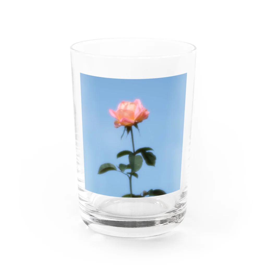 さーなの写真集の秋空の薔薇お写真んぽ Water Glass :front
