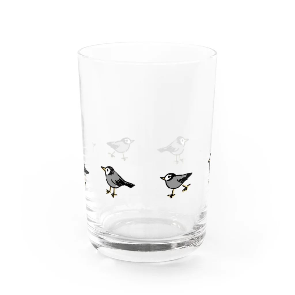 でこぱち商店のムクドリさんぽ Water Glass :front