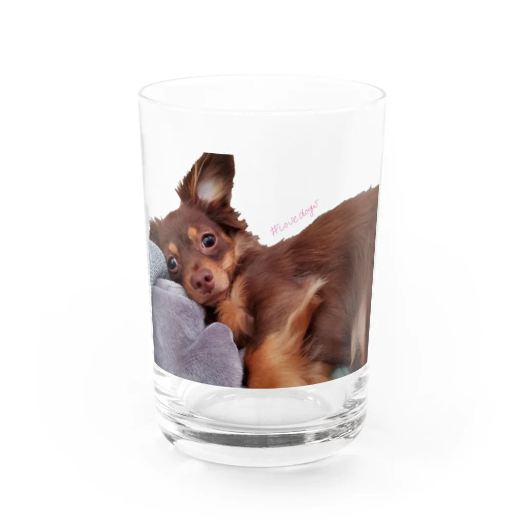 lovedogsの#Lovedogs Water Glass :front