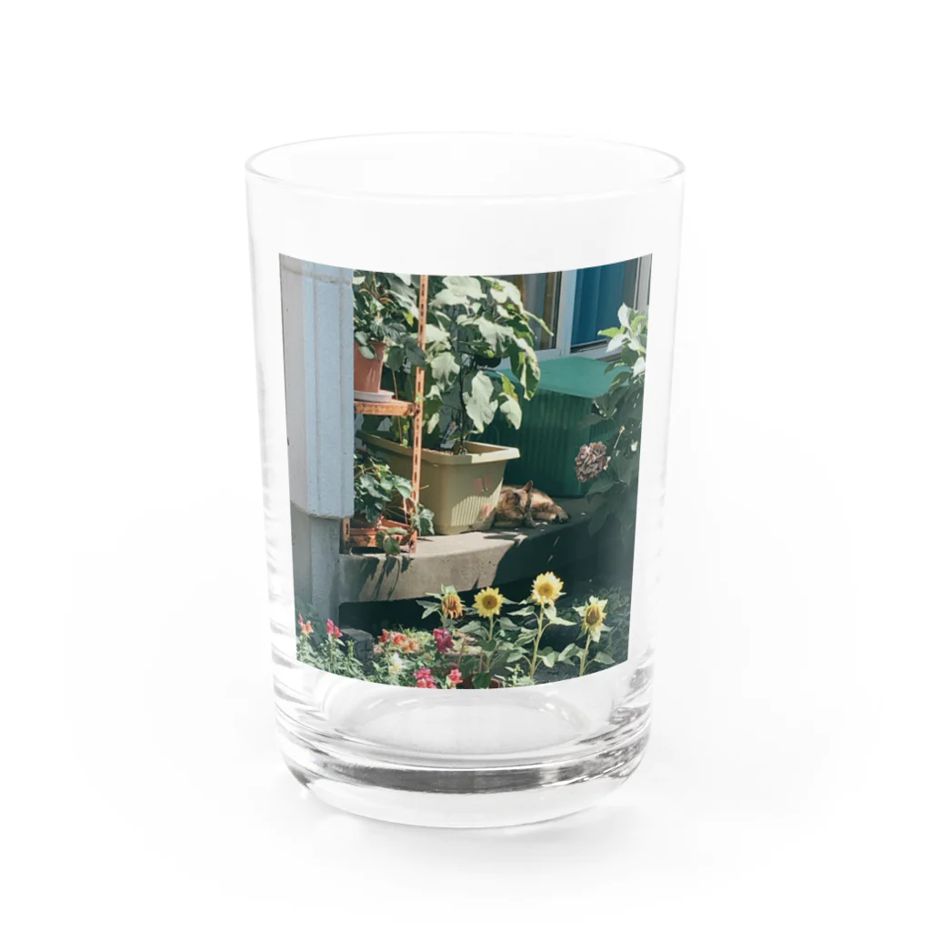 りんりんどこーのneighbor Water Glass :front