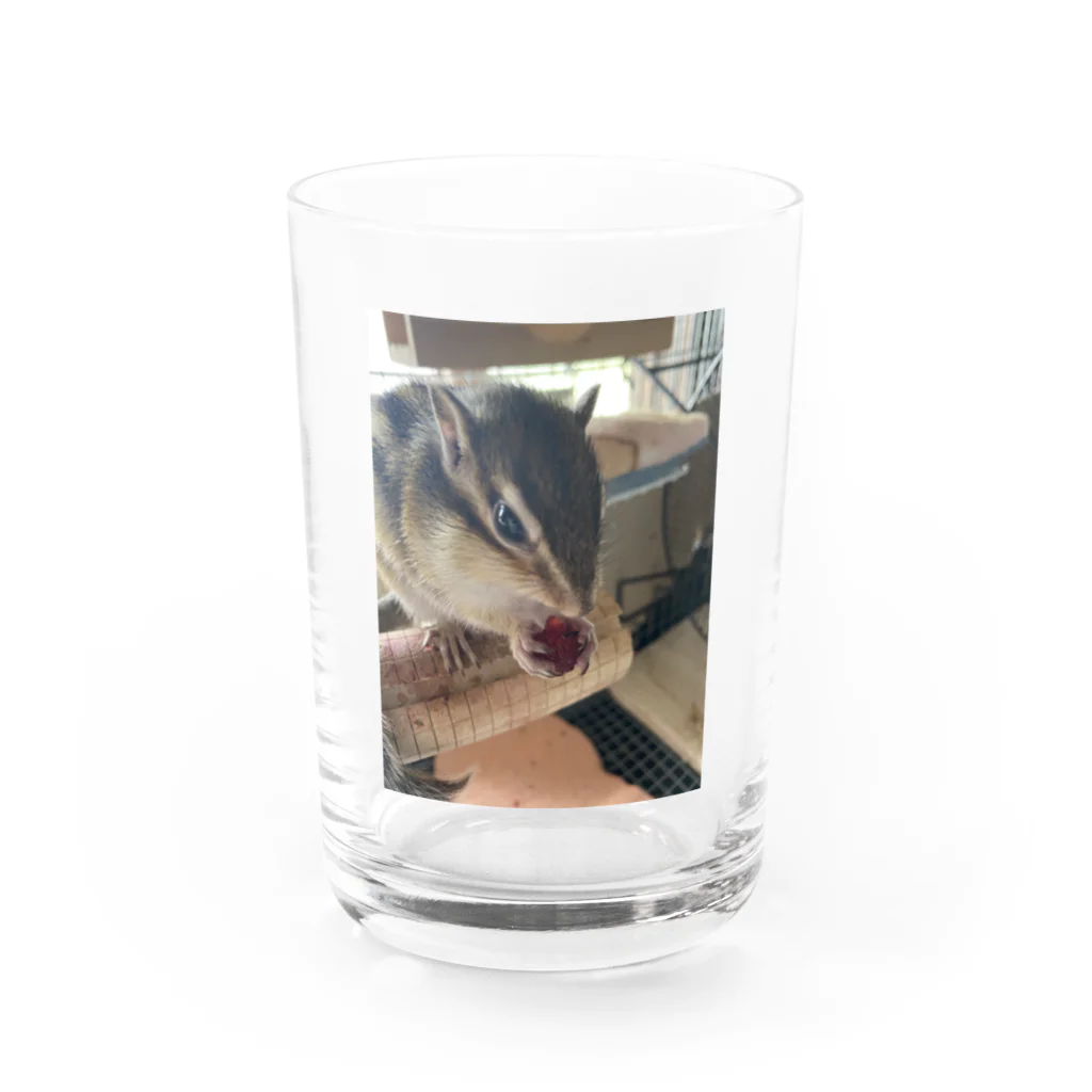 チロ358のシマリスみかん Water Glass :front