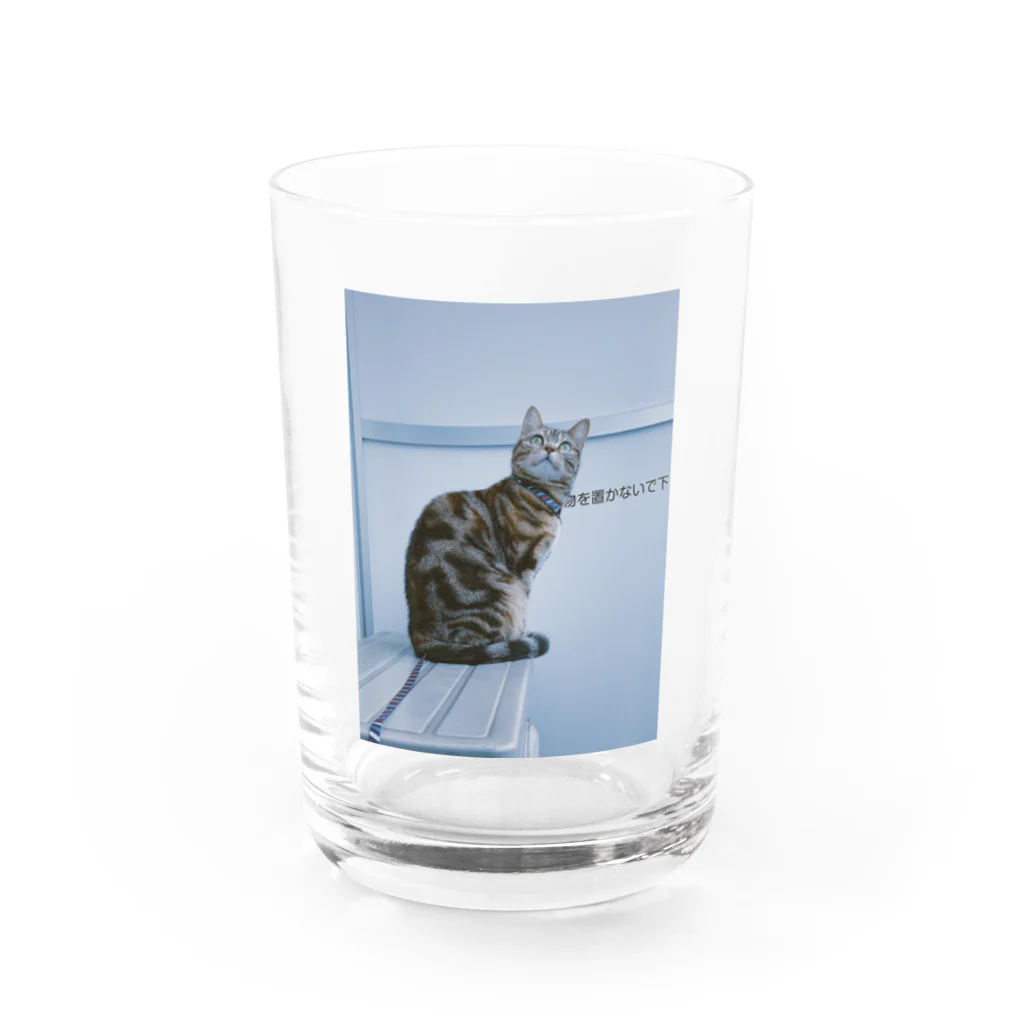 34のキメ顔 Water Glass :front