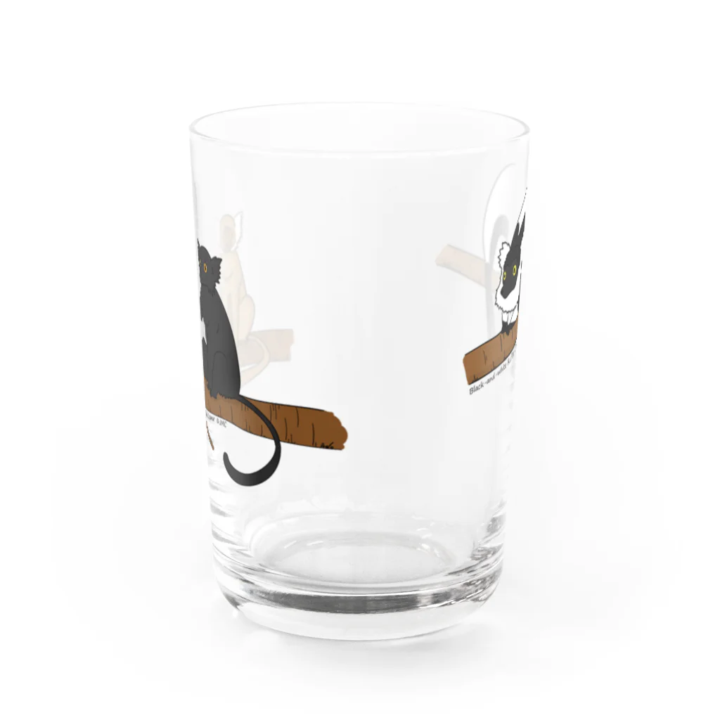 日本モンキーセンターのクロキツネザルとシロクロエリマキキツネザル Water Glass :front