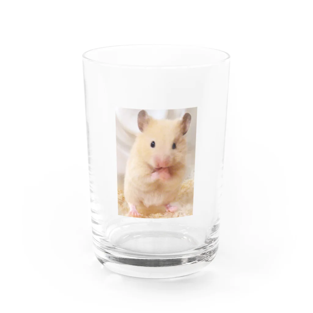 アヤナシトリィSHOPのキンクマハムスターおつきみ日誌　キュート編 Water Glass :front