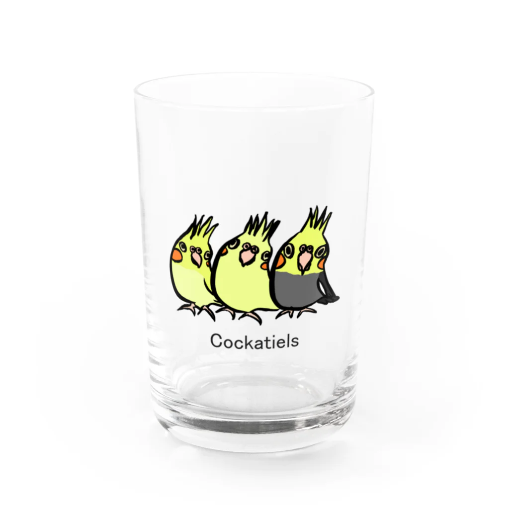 Mitsu-ZoのCockatiels Water Glass :front