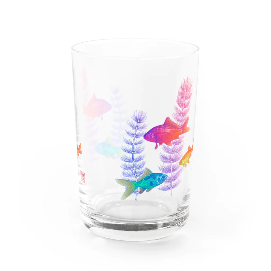 森下善行の金魚（無地） Water Glass :front