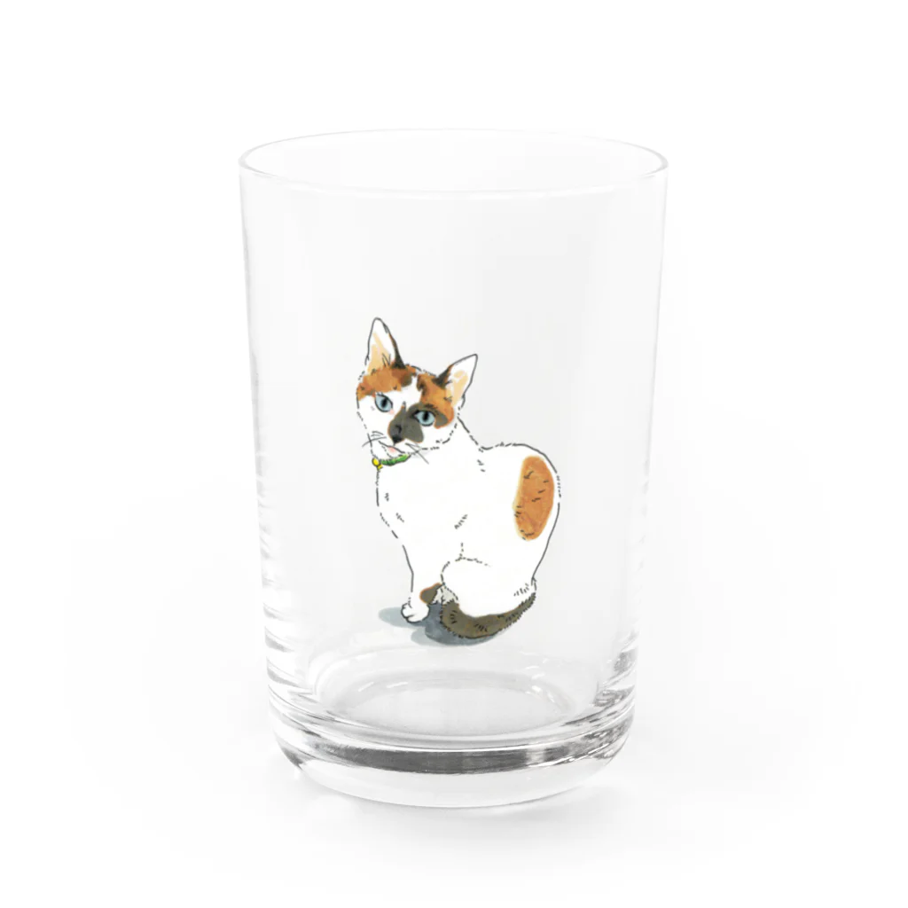 やまねくんの三毛猫　ねこ Water Glass :front