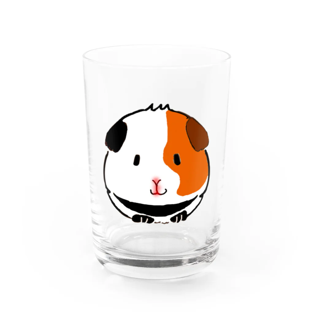 モルモットのミマモル隊のミケちゃん Water Glass :front