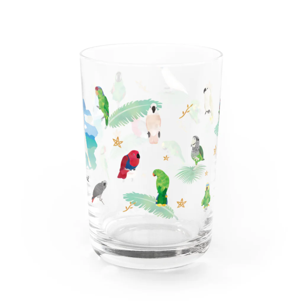 MIKIHO＠トリピカルのオウムグラス Water Glass :front