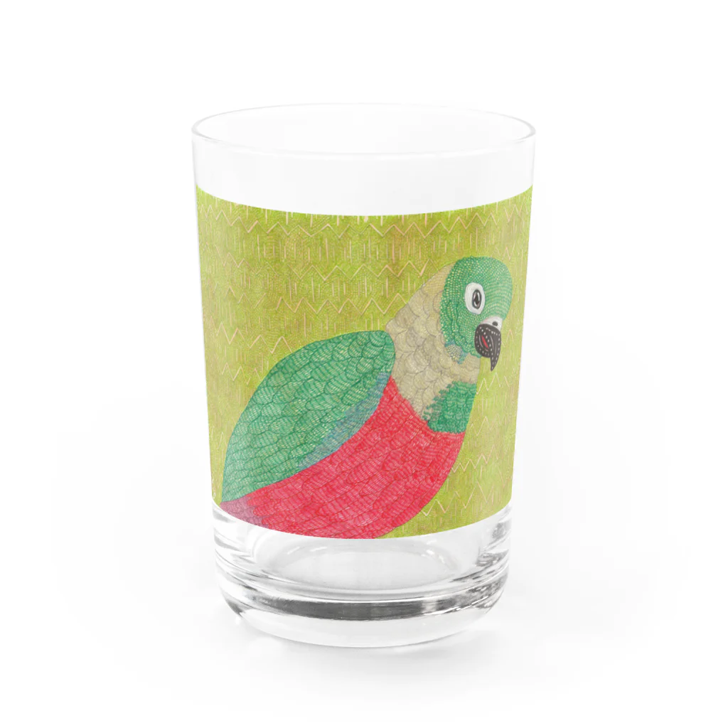 HOLMのアカハラウロコインコ Water Glass :front