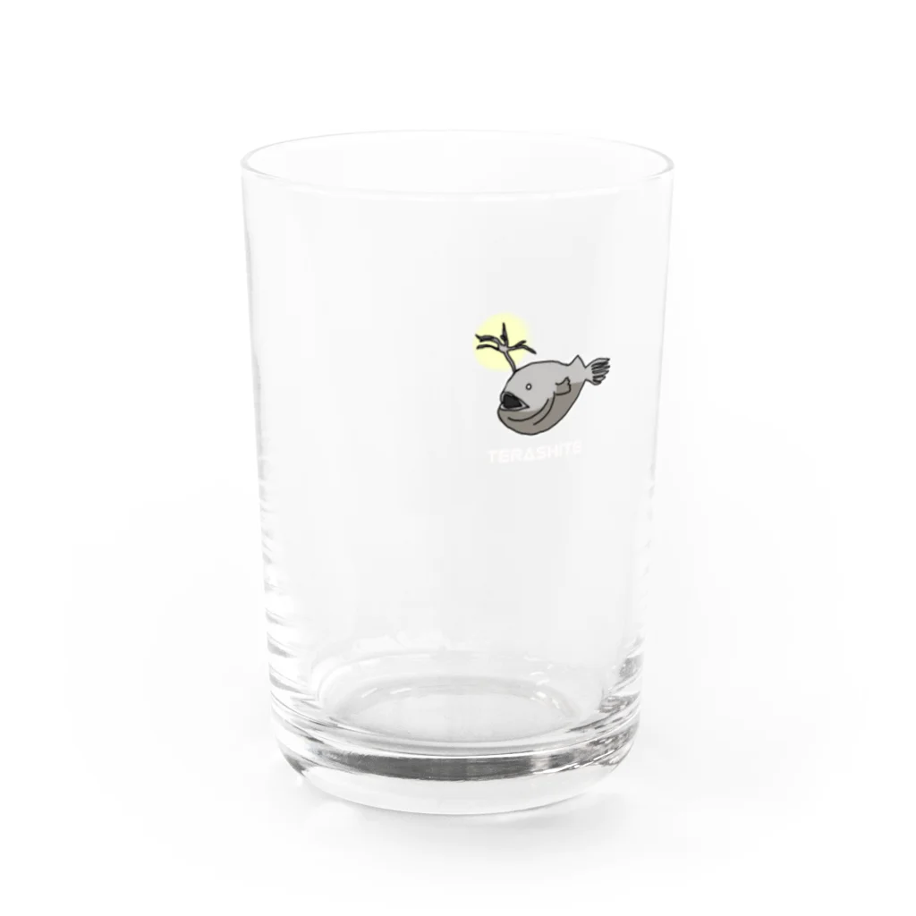 るい＠自然科学グッズのTERASHITE Water Glass :front