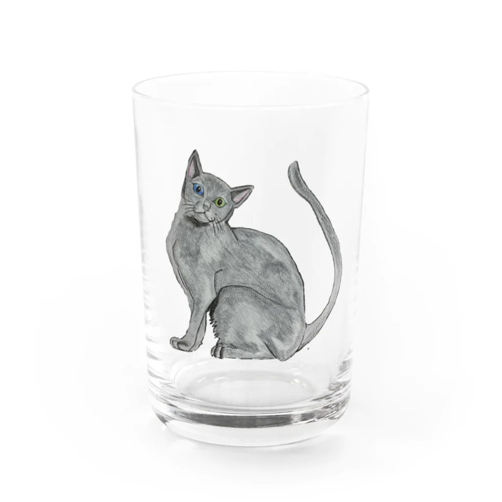 Coshi-Mild-Wildの猫_ロシアンブルー Water Glass :front