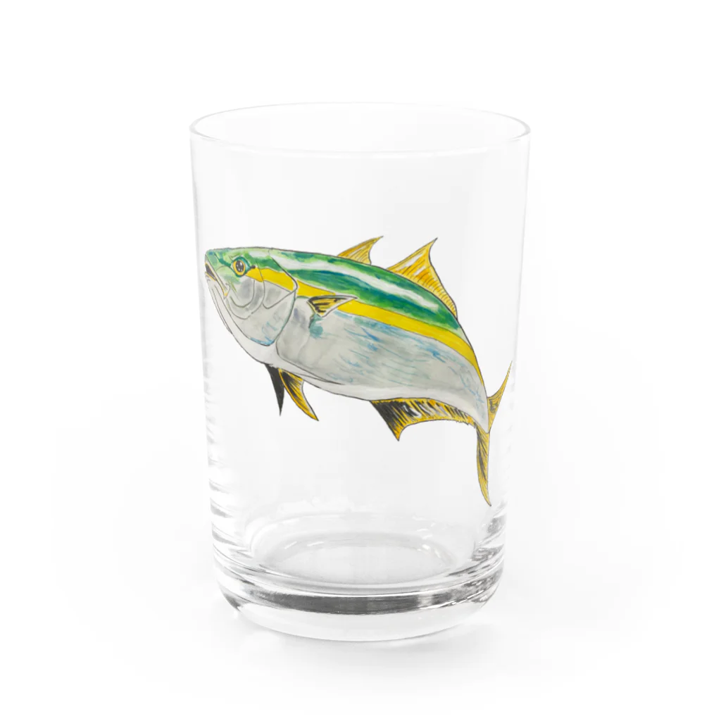 Coshi-Mild-Wildの鰤　(ブリ) Water Glass :front