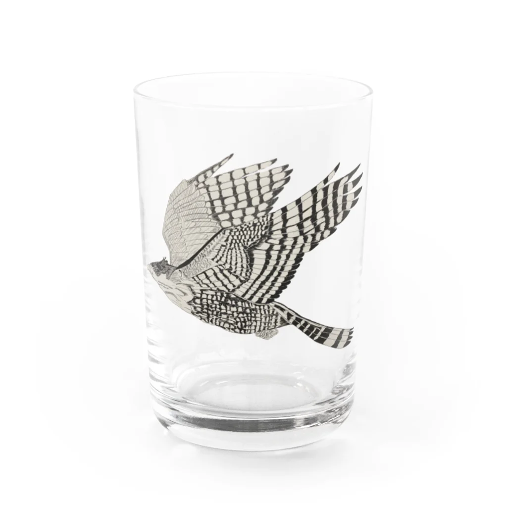 Coshi-Mild-Wildのクマタカ Water Glass :front