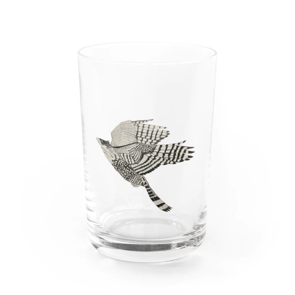 Coshi-Mild-Wildのクマタカ_A Water Glass :front
