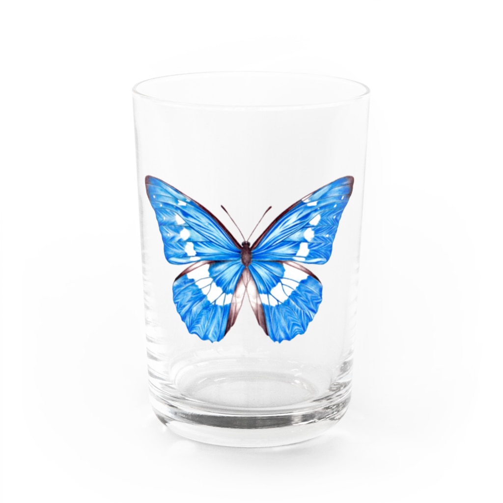 シヲのヘレナモルフォ Water Glass :front
