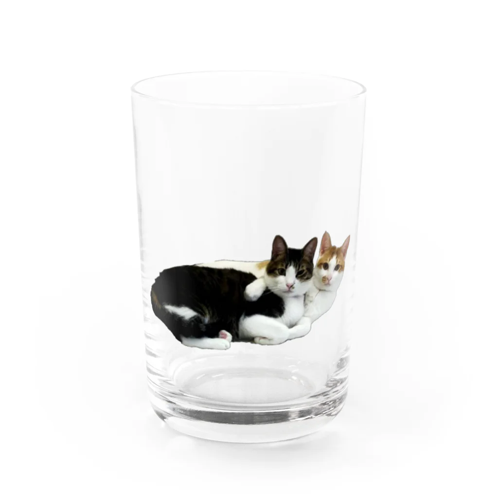 mrkwmrkのウチのにゃんず Water Glass :front