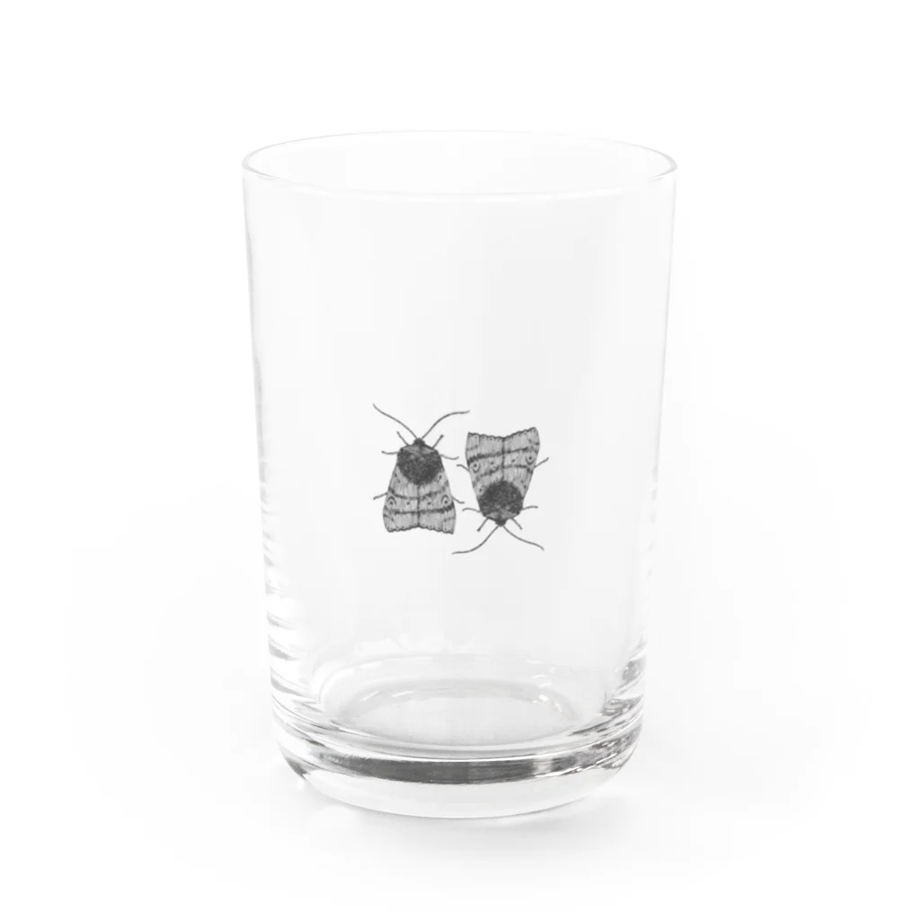 大量の蛾の上下のフクラスズメ Water Glass :front