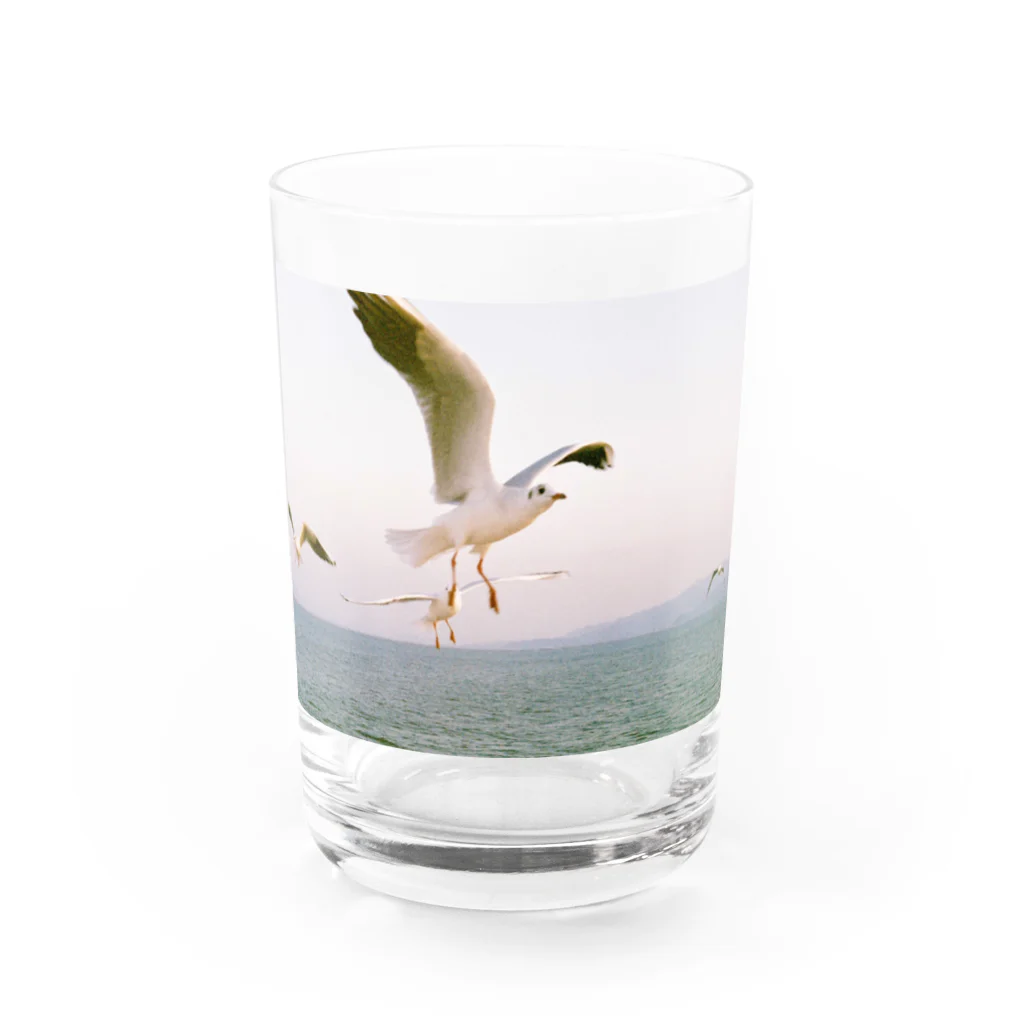 ふくだの鴎 Water Glass :front