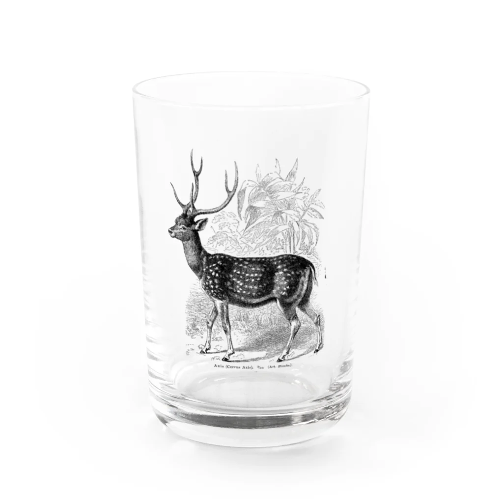 Expressgut602の鹿 Water Glass :front