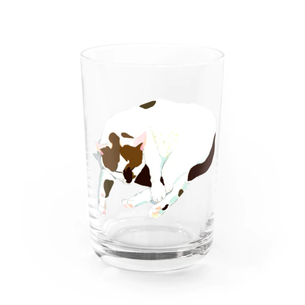 やまねくんの陽だまりのなかの三毛猫　ねこ Water Glass :front