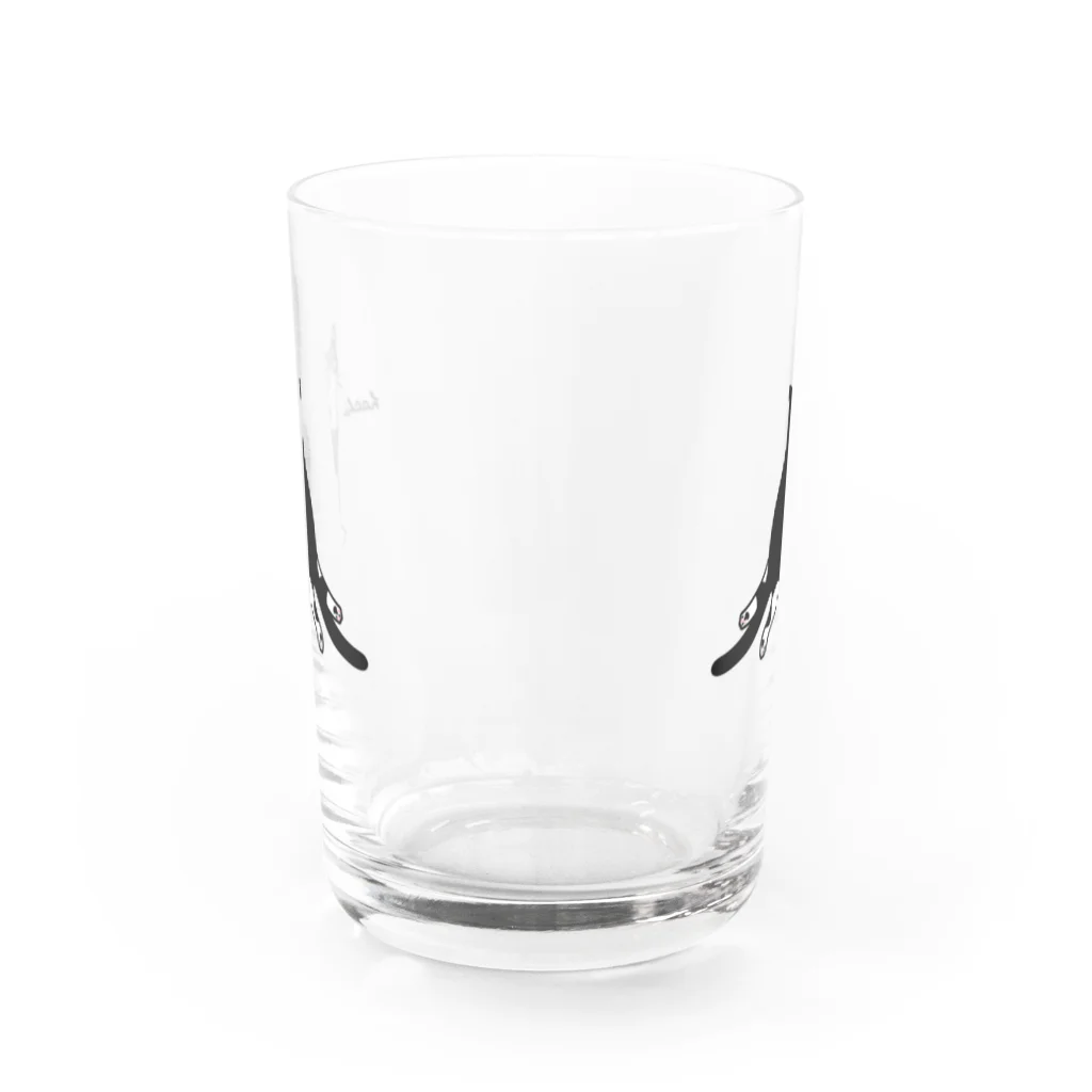 ハチワレ猫　ハチのお店のハチワレ猫　ハチ　グラス Water Glass :front