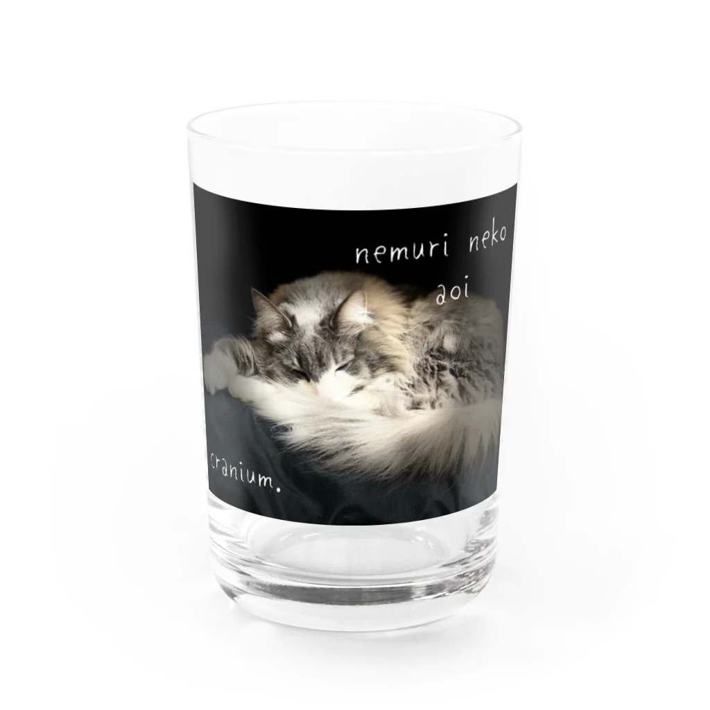ꏸꋪꋫꁹꂑꐇꁒ𖤐《毎日ハロウィンのクラニアム》の眠り猫あおい Water Glass :front
