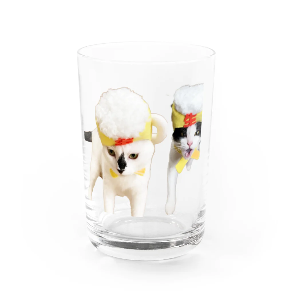 保護猫ベニとハクのリーゼントビールハク Water Glass :front