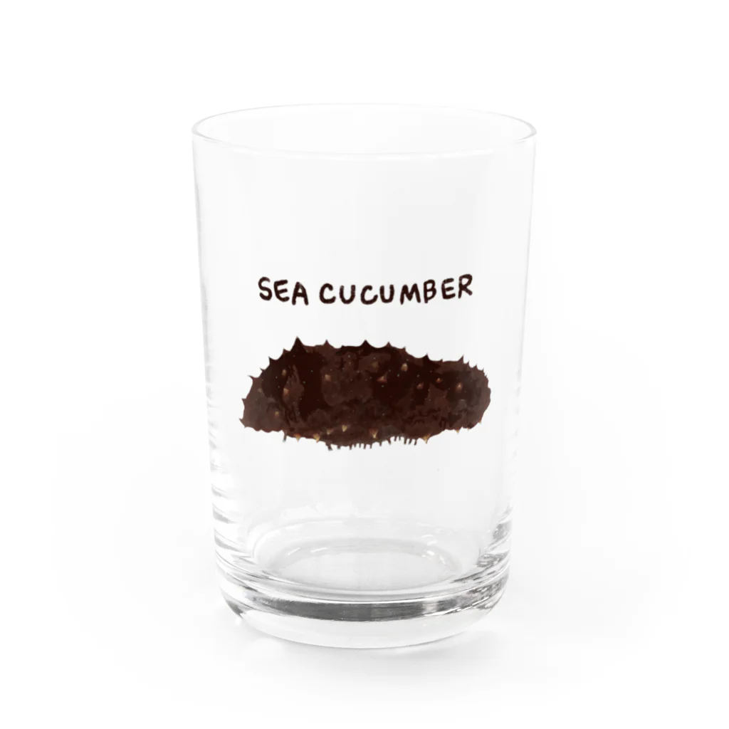 UO5のナマコ sea cucumber グラス前面